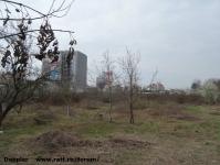 Imagine atasata: Iulius Mall - 2015.03.29 - 01.jpg